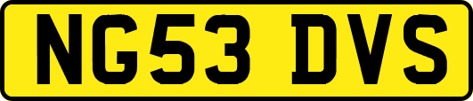 NG53DVS