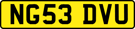 NG53DVU