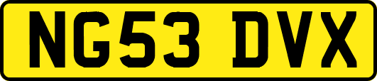 NG53DVX