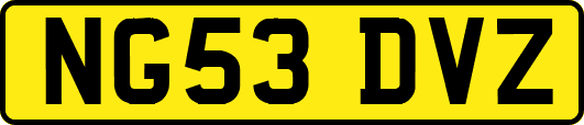 NG53DVZ