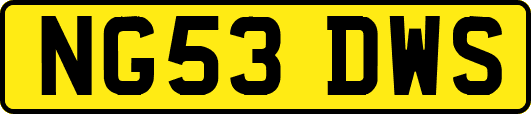 NG53DWS