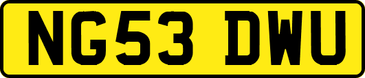 NG53DWU