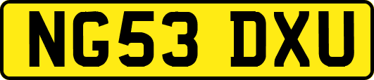 NG53DXU