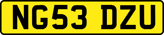 NG53DZU