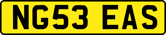 NG53EAS