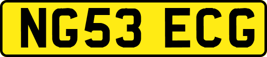 NG53ECG