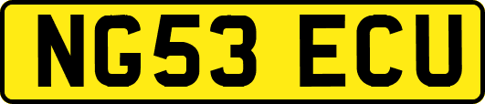 NG53ECU