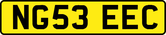 NG53EEC