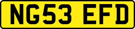 NG53EFD
