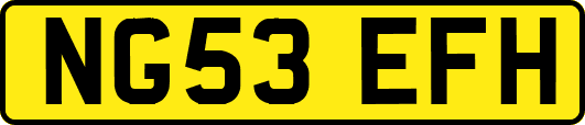 NG53EFH