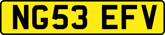 NG53EFV