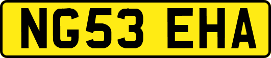 NG53EHA