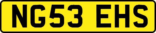 NG53EHS