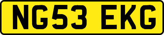 NG53EKG