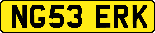 NG53ERK