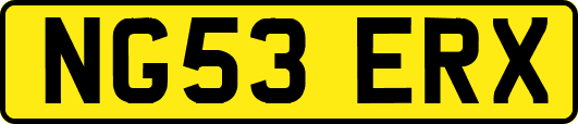 NG53ERX