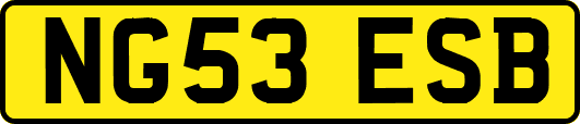 NG53ESB
