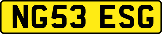 NG53ESG