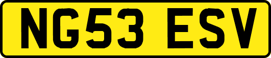 NG53ESV