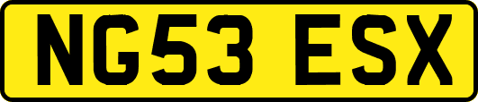 NG53ESX
