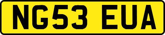 NG53EUA