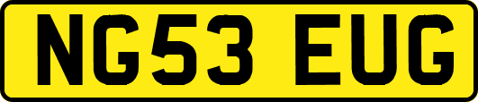 NG53EUG