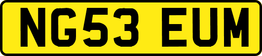 NG53EUM