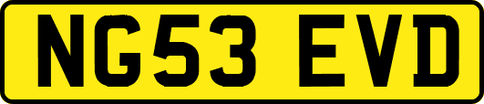 NG53EVD