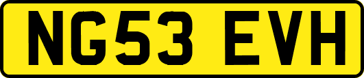 NG53EVH