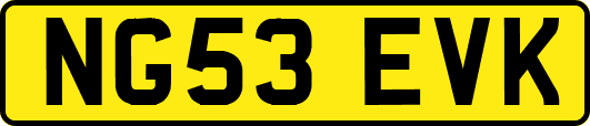NG53EVK