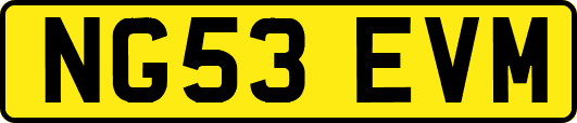 NG53EVM