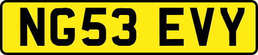 NG53EVY