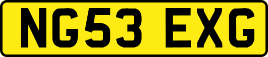 NG53EXG