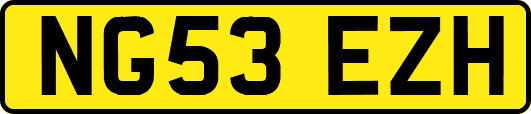 NG53EZH