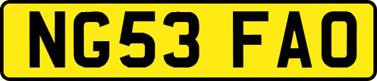 NG53FAO