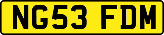 NG53FDM