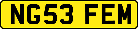 NG53FEM