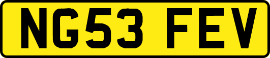 NG53FEV