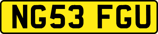 NG53FGU