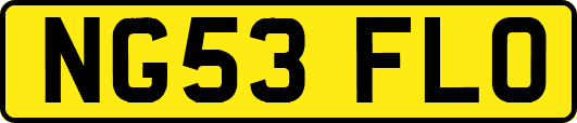 NG53FLO