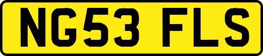 NG53FLS
