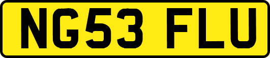 NG53FLU