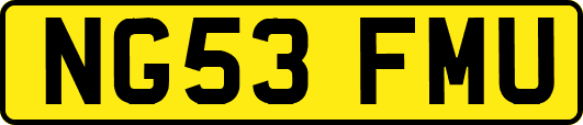 NG53FMU