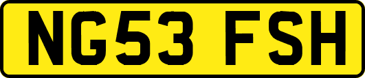 NG53FSH