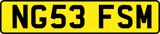 NG53FSM