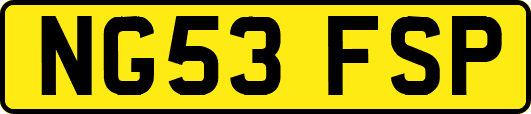 NG53FSP