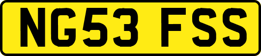 NG53FSS