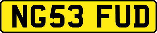 NG53FUD