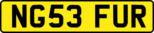 NG53FUR
