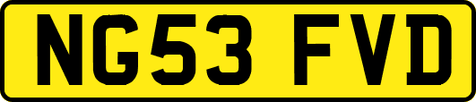 NG53FVD